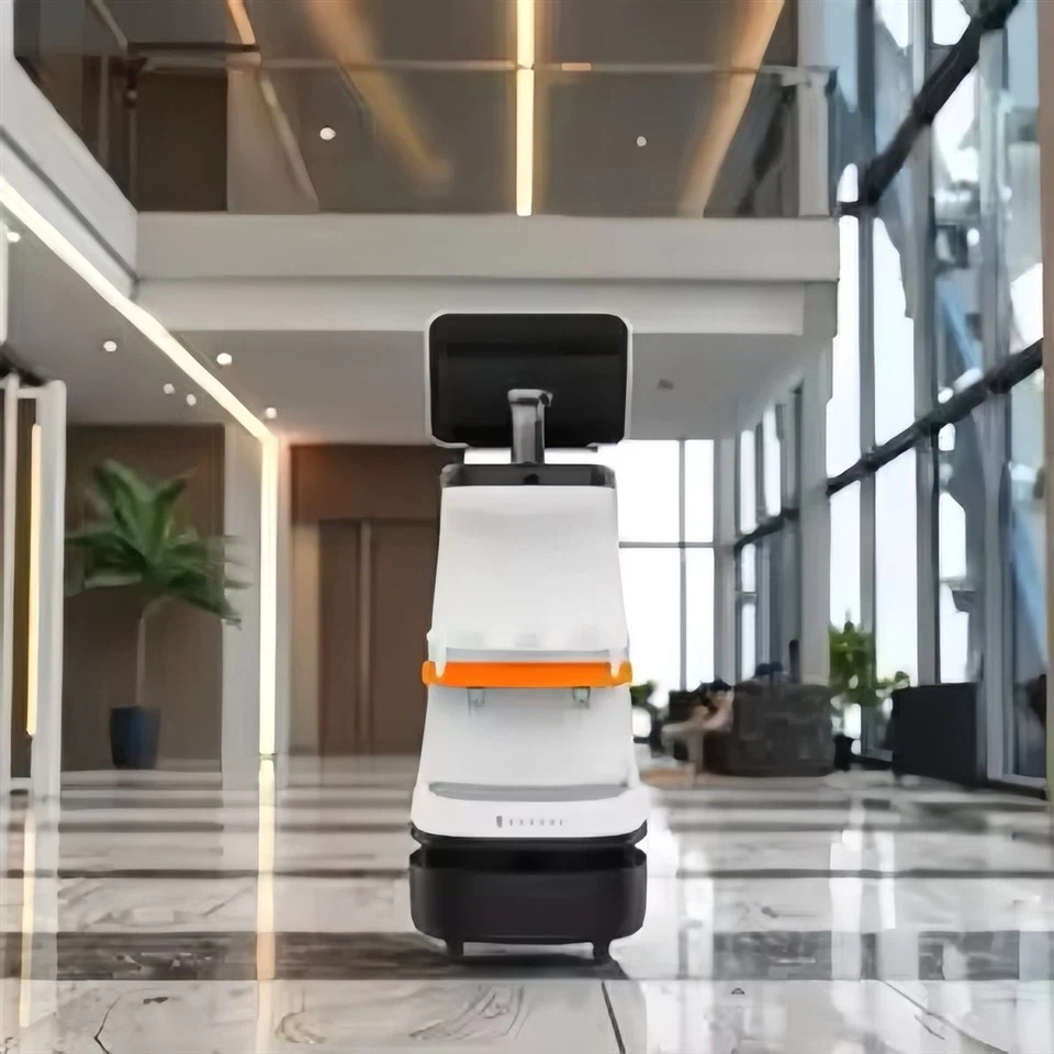Greeting And Guidance Robot best